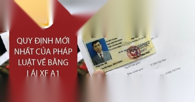 bang lai xe a1 image 01 1