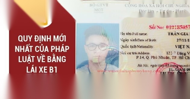 bang lai xe b1 image 01