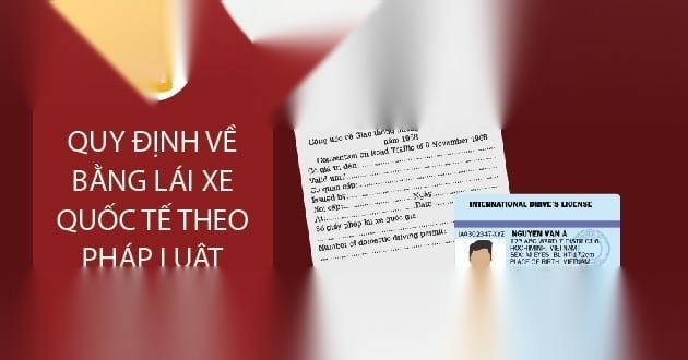 bang lai xe quoc te image 01