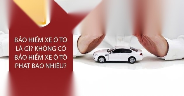 bao hiem xe o to image 01