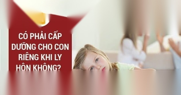 cap duong cho con rieng khi ly hon image 01