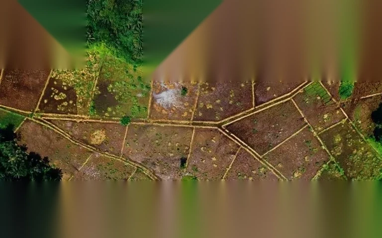 chuyen dat trong cay lau nam sang dat nong nghiep khac image 01