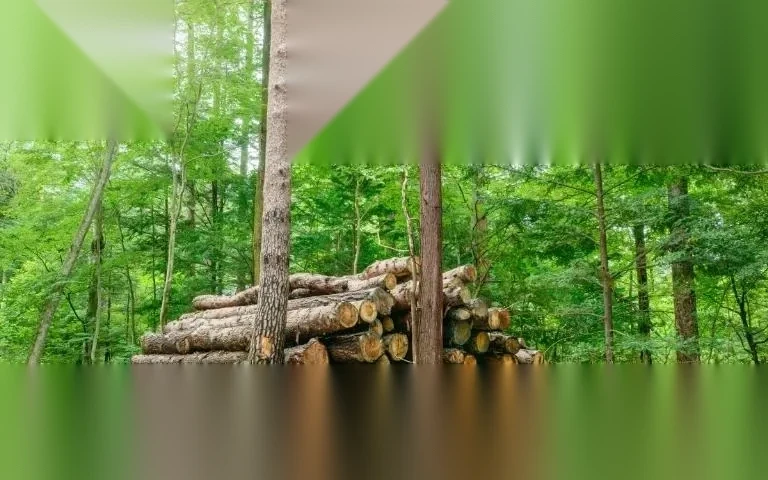 chuyen doi dat lam nghiep sang tho cu image 01