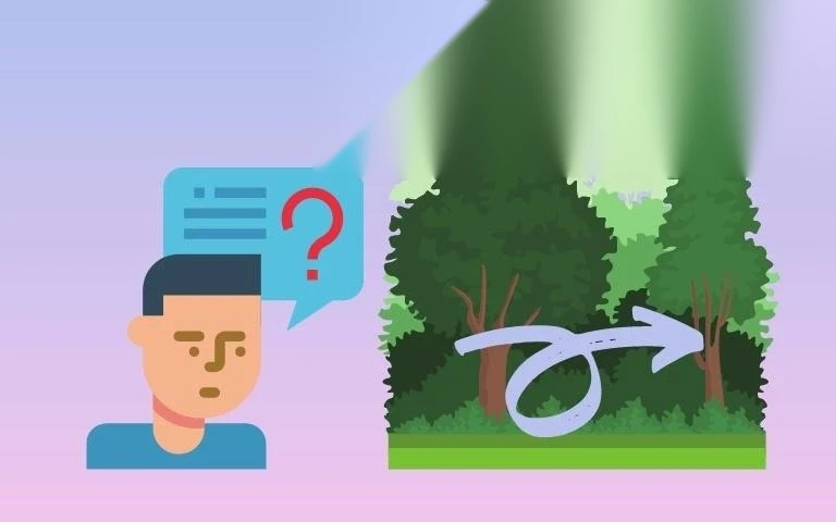 chuyen doi dat rung phong ho image 01