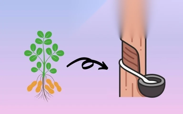 chuyen doi dat trong cay hang nam sang dat trong cay lau nam image 01