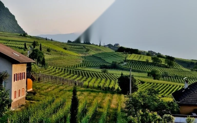 chuyen doi dat trong lua sang lam trang trai image 01