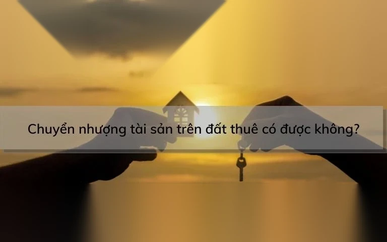 chuyen nhuong tai san tren dat thue co duoc khong image 01