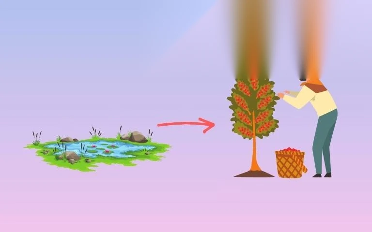 chuyen tu dat ao sang dat trong cay lau nam image 01