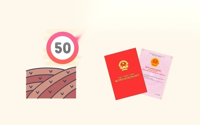 dat 50 nam co lam duoc so do khong image 01 1