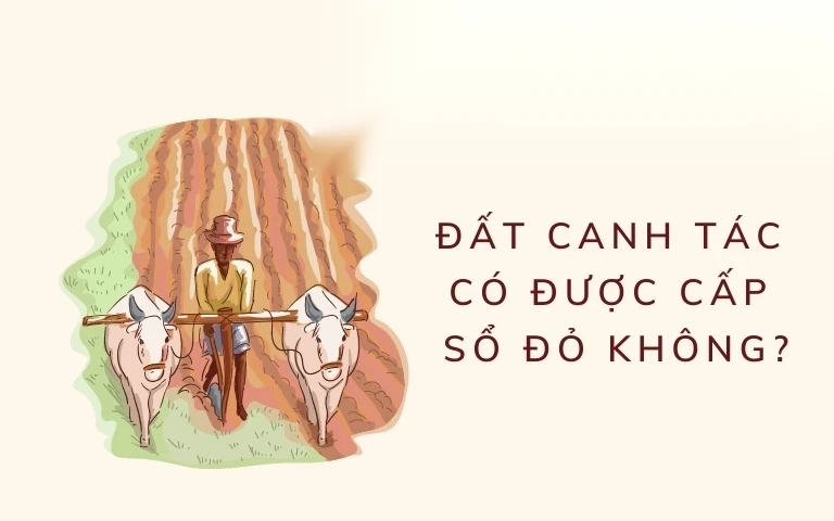 dat canh tac co duoc cap so do khong image 01