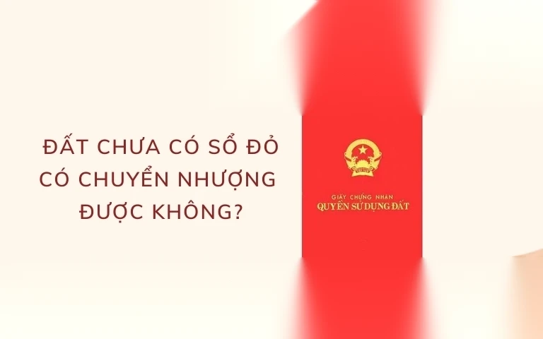 dat chua co so do co duoc chuyen nhuong khong image 01