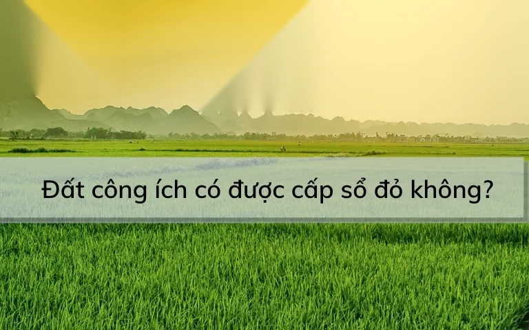 dat cong ich la gi dat cong ich co duoc cap so do khong image 01 1
