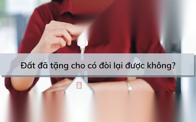 dat da tang cho co doi lai duoc khong image 01 1