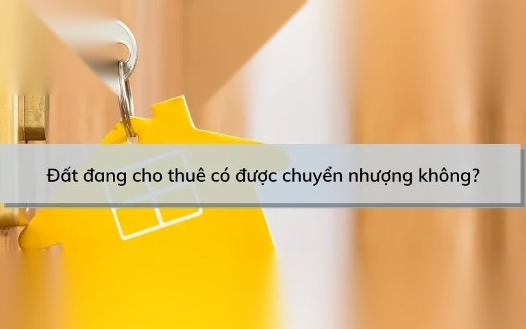 dat dang cho thue co duoc chuyen nhuong khong image 01