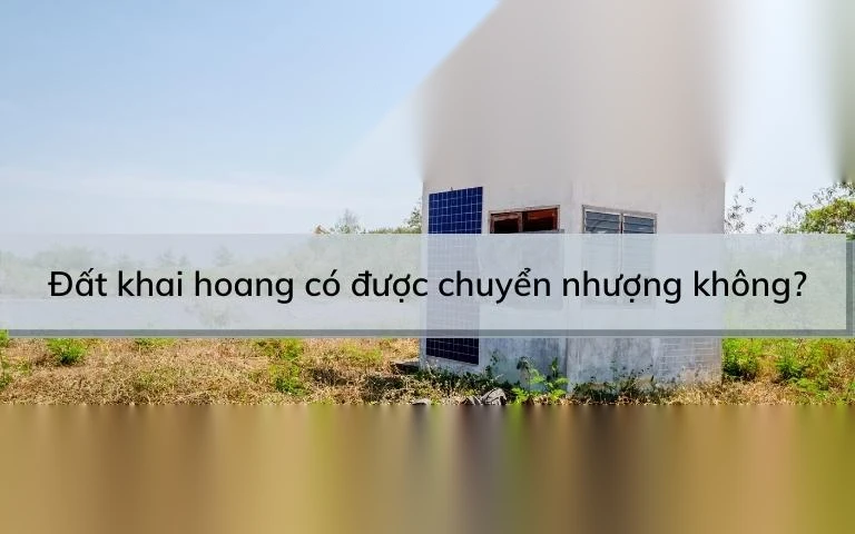 dat khai hoang co duoc chuyen nhuong khong image 01