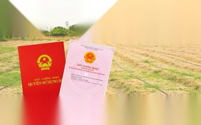 dat khong co so do co duoc cap phep xay dung image 01