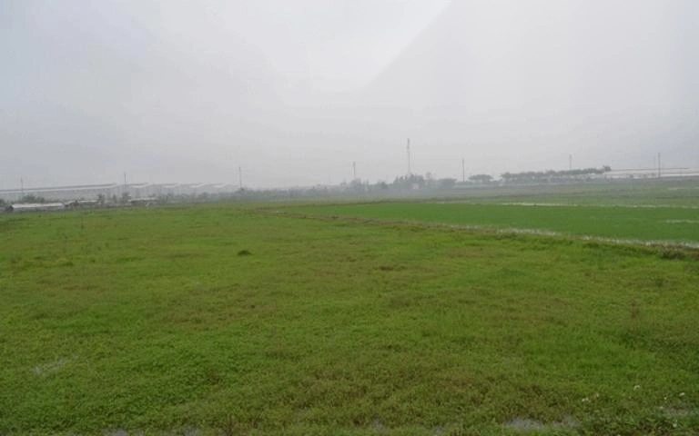 dat nong nghiep bo hoang co bi thu hoi khong image 01