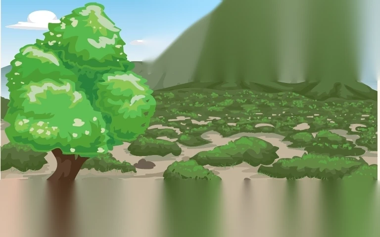 dat phan tram la gi image 01