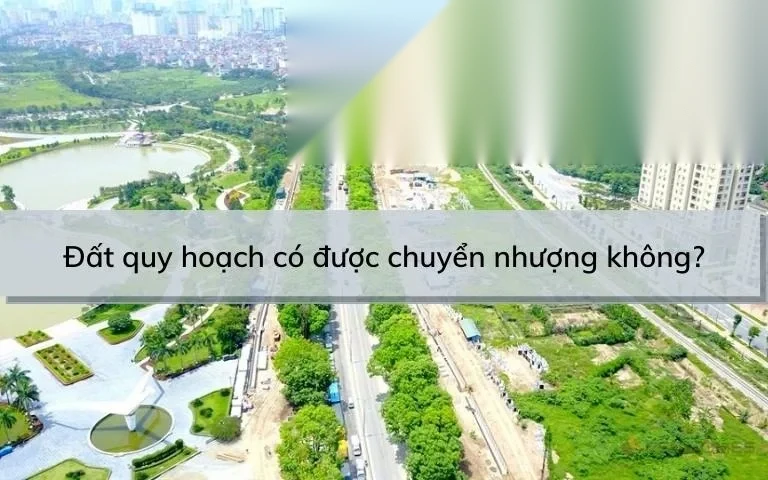 dat quy hoach co duoc chuyen nhuong khong image 01