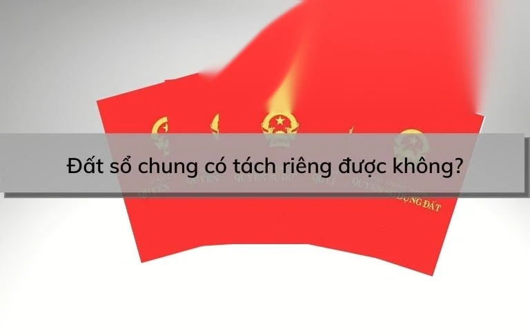 dat so chung co tach rieng duoc khong image 01 1