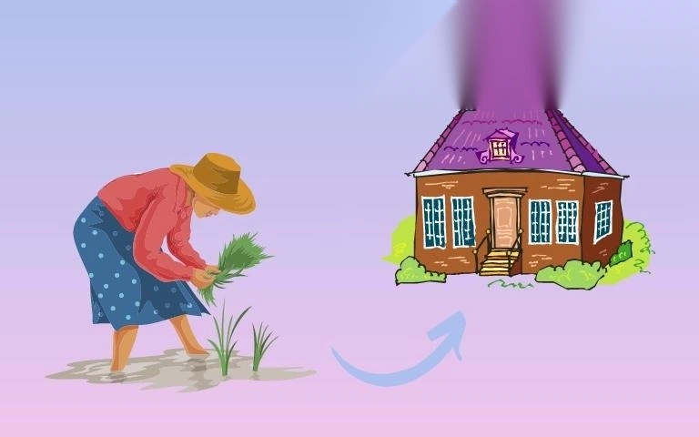 dat trong lua nuoc co len tho cu duoc khong image 01