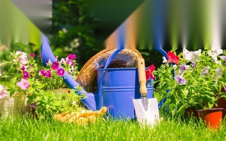 dat vuon co duoc tach thua khong image 01