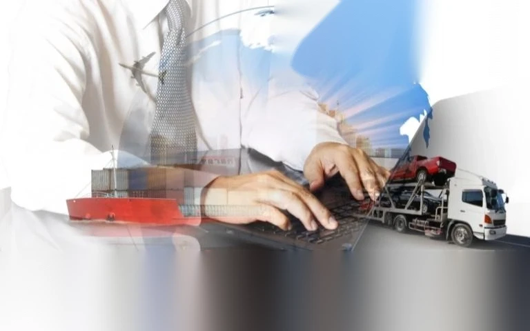 dich vu xin giay phep nhap khau image 01