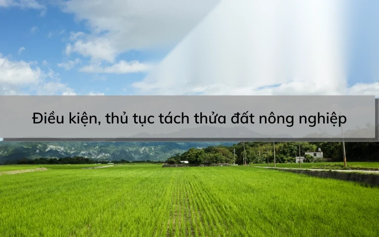 dieu kien thu tuc tach thua dat nong nghiep image 01