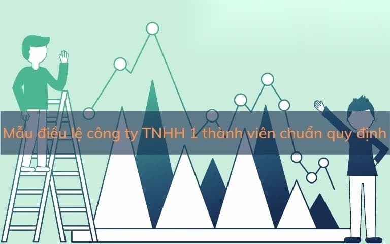 dieu le cong ty tnhh mot thanh vien image 01 1