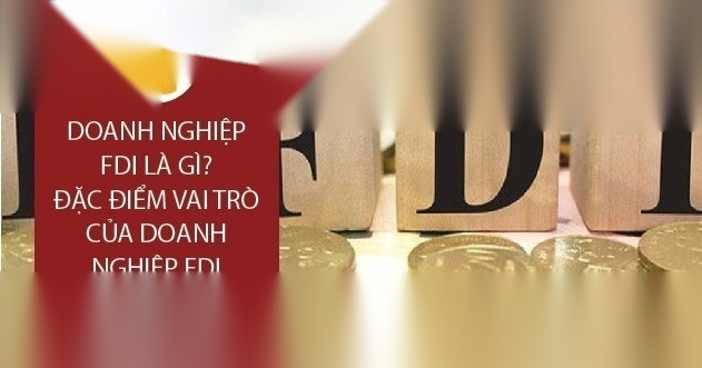 doanh nghiep fdi image 01