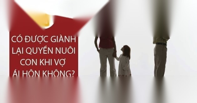 gianh lai quyen nuoi con khi vo tai hon image 01