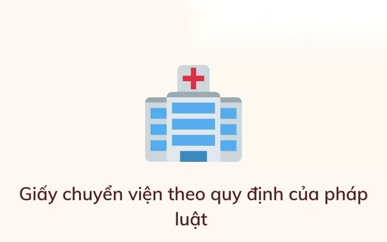 giay chuyen vien image 01