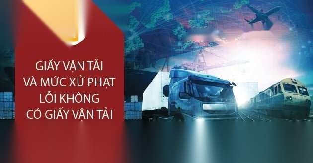 giay van tai image 01