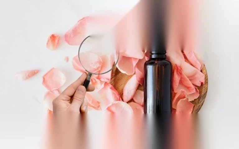 huong dan cach tra cuu cong bo my pham image 01