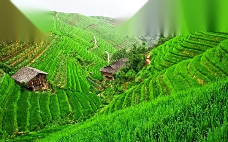 huong dan chuyen doi dat ruong sang dat vuon image 01