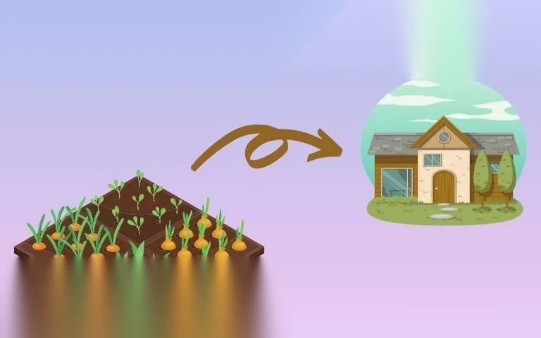 huong dan chuyen doi dat tho canh sang tho cu image 01