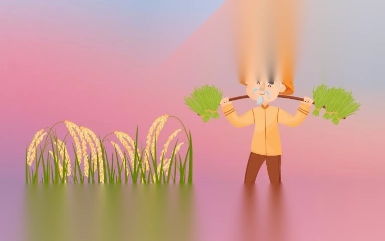 huong dan tach thua dat trong cay hang nam image 01 1