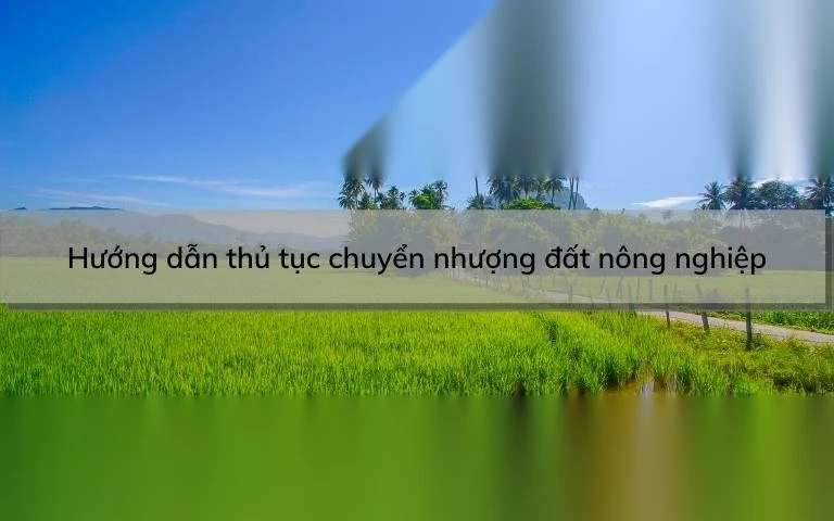 huong dan thu tuc chuyen nhuong dat nong nghiep image 01