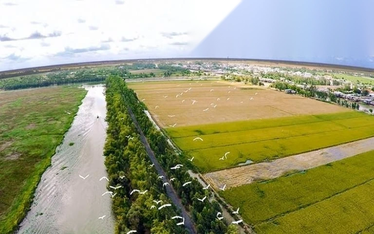 huong dan thu tuc thue dat 50 nam image 01