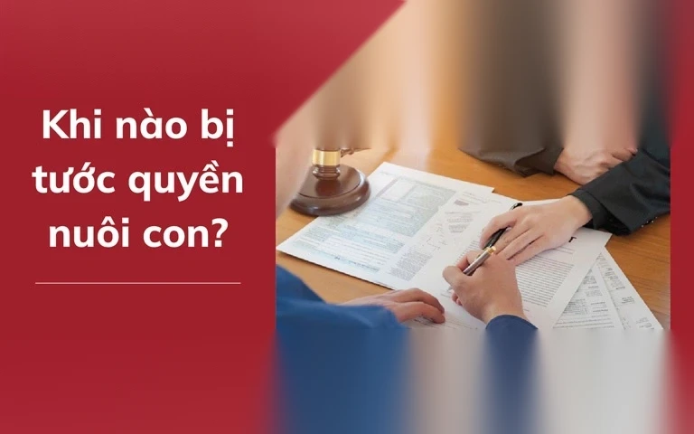khi nao bi tuoc quyen nuoi con image 02