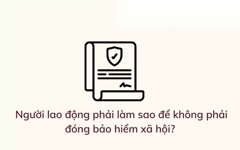 lam sao de khong phai dong bao hiem xa hoi image 01