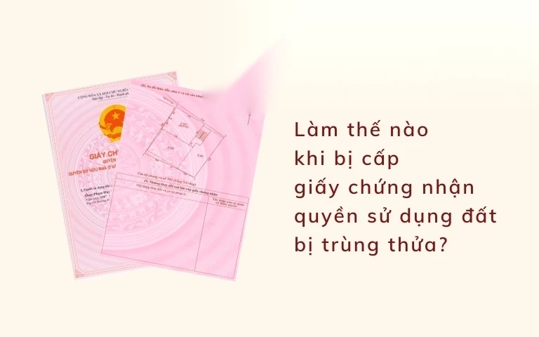 lam the nao khi bi cap giay chung nhan quyen su dung dat bi trung thua image 01