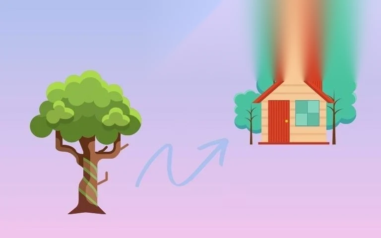 le phi chuyen doi dat trong cay lau nam sang dat o image 01