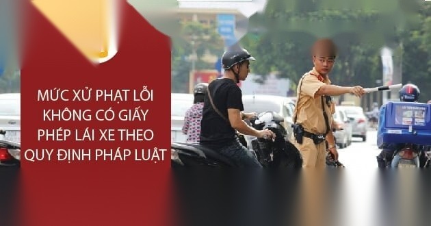 loi khong co giay phep lai xe image 01 2