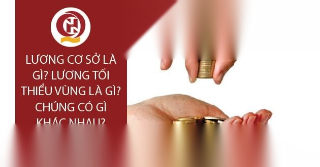 luong co so la gi luong toi thieu vung la gi chung co gi khac nhau image 01 3
