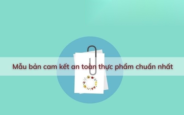 mau ban cam ket an toan thuc pham chuan nhat image 01