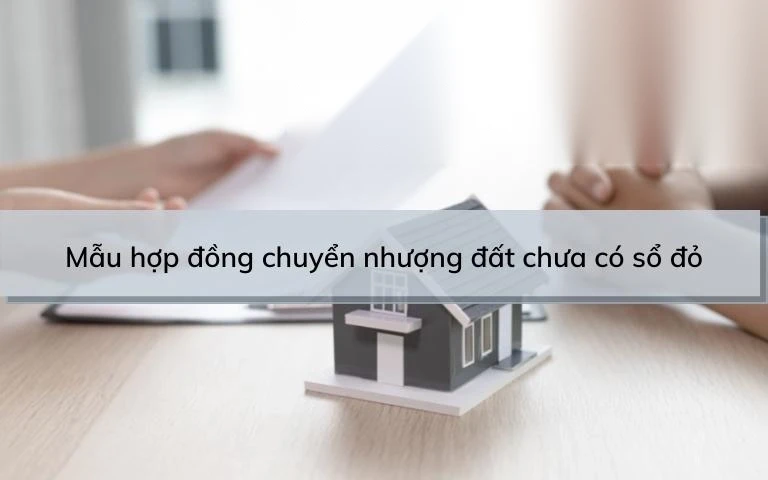 mau hop dong chuyen nhuong dat chua co so do image 01