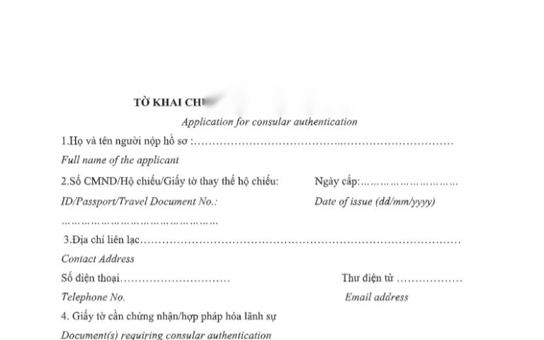 mau to khai hop phap hoa lanh su image 01