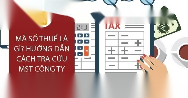 mst cong ty image 01