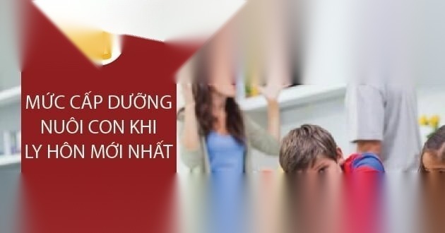 muc cap duong nuoi con khi ly hon image 01